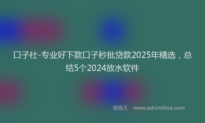 口子社-专业好下款口子秒批贷款2025年精选，总结5个2024放水软件
