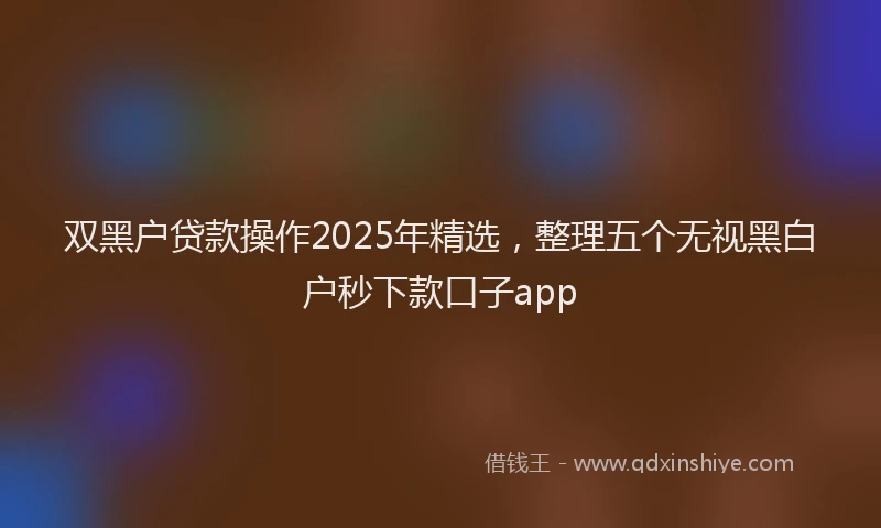 双黑户贷款操作2025年精选，整理五个无视黑白户秒下款口子app