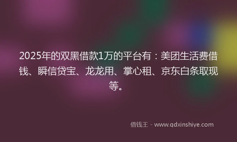 2025年的双黑借款1万的平台有：美团生活费借钱、瞬信贷宝、龙龙用、掌心租、京东白条取现等。