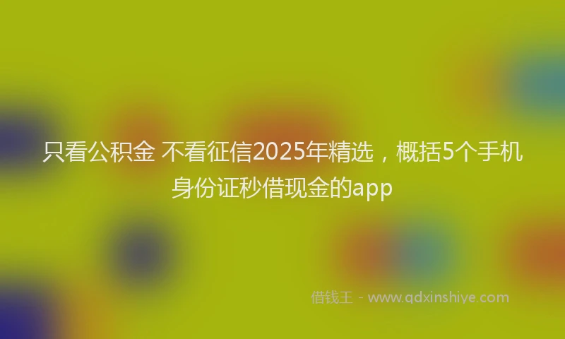只看公积金 不看征信2025年精选，概括5个手机身份证秒借现金的app