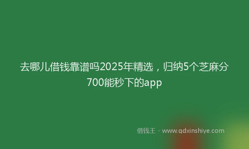 去哪儿借钱靠谱吗2025年精选，归纳5个芝麻分700能秒下的app