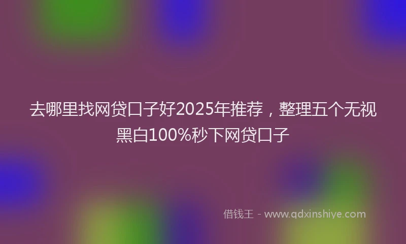 去哪里找网贷口子好2025年推荐，整理五个无视黑白100%秒下网贷口子