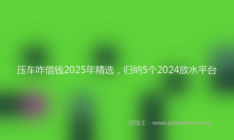 压车咋借钱2025年精选，归纳5个2024放水平台