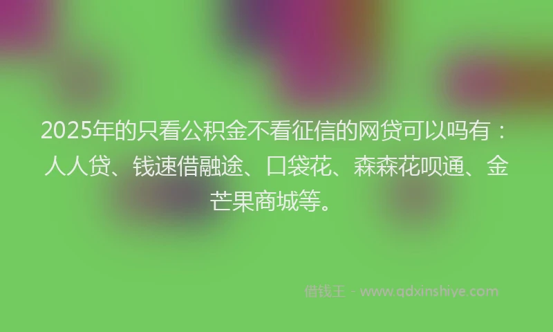 2025年的只看公积金不看征信的网贷可以吗有：人人贷、钱速借融途、口袋花、森森花呗通、金芒果商城等。