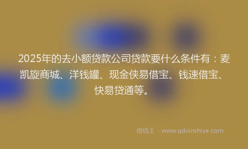 2025年的去小额贷款公司贷款要什么条件有：麦凯旋商城、洋钱罐、现金侠易借宝、钱速借宝、快易贷通等。