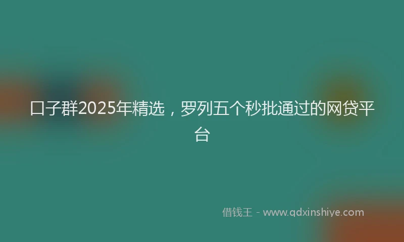 口子群2025年精选，罗列五个秒批通过的网贷平台