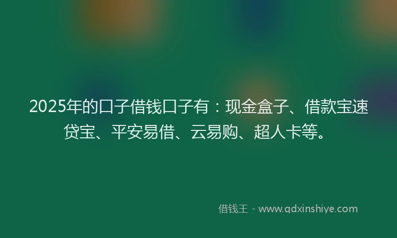 2025年的口子借钱口子有：现金盒子、借款宝速贷宝、平安易借、云易购、超人卡等。