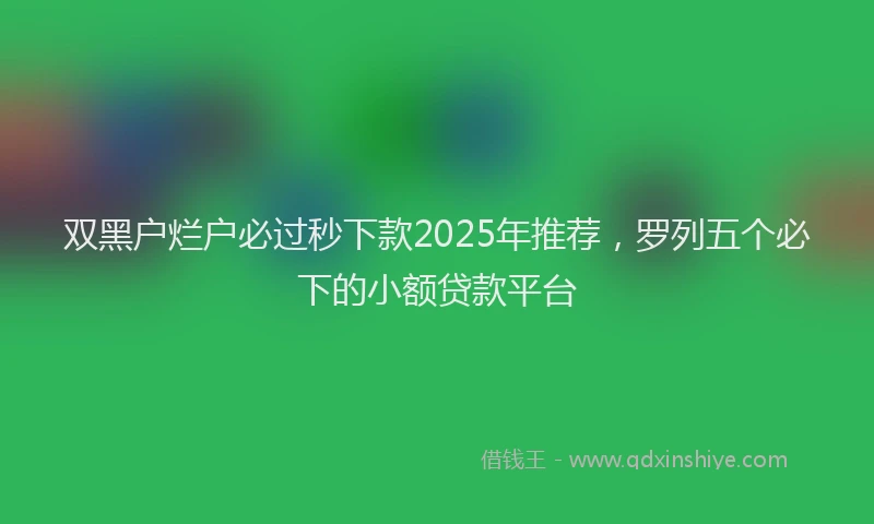 双黑户烂户必过秒下款2025年推荐，罗列五个必下的小额贷款平台
