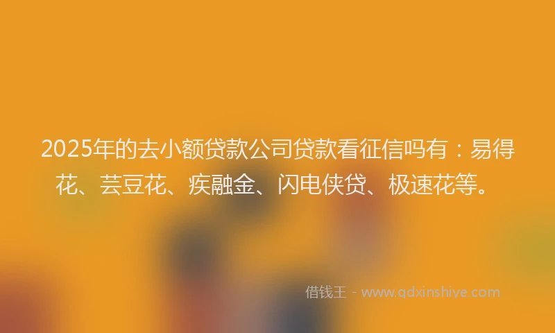 2025年的去小额贷款公司贷款看征信吗有：易得花、芸豆花、疾融金、闪电侠贷、极速花等。