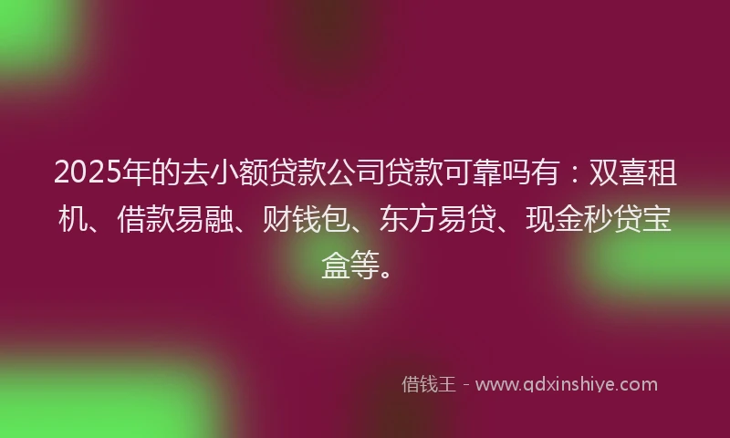 2025年的去小额贷款公司贷款可靠吗有：双喜租机、借款易融、财钱包、东方易贷、现金秒贷宝盒等。
