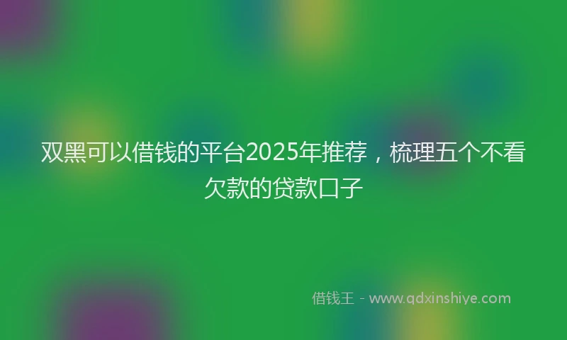 双黑可以借钱的平台2025年推荐，梳理五个不看欠款的贷款口子