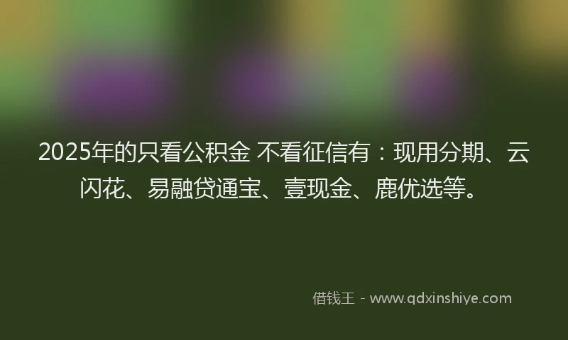 2025年的只看公积金 不看征信有：现用分期、云闪花、易融贷通宝、壹现金、鹿优选等。