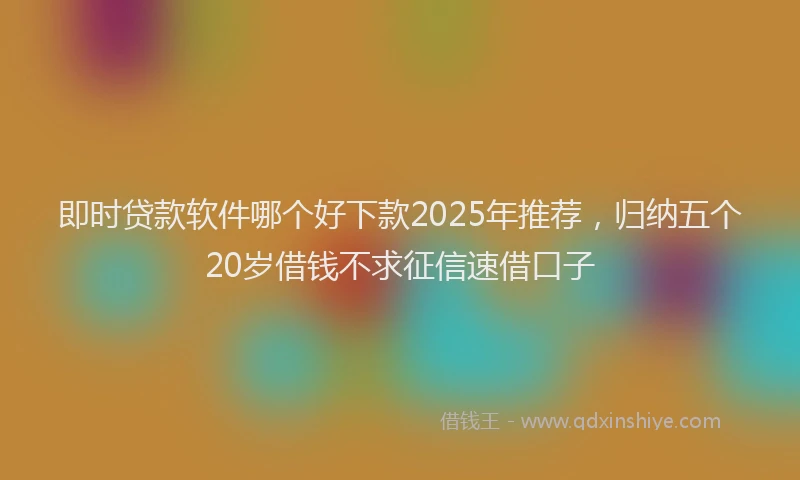 即时贷款软件哪个好下款2025年推荐，归纳五个20岁借钱不求征信速借口子
