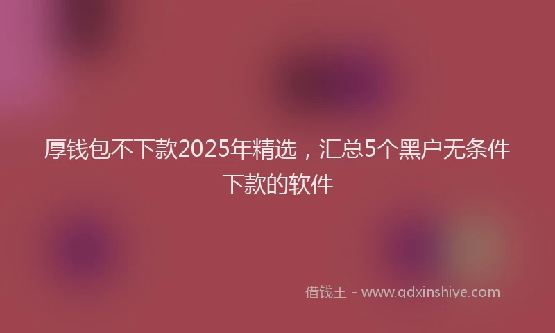 厚钱包不下款2025年精选，汇总5个黑户无条件下款的软件