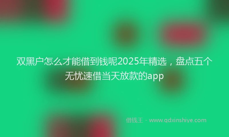 双黑户怎么才能借到钱呢2025年精选，盘点五个无忧速借当天放款的app