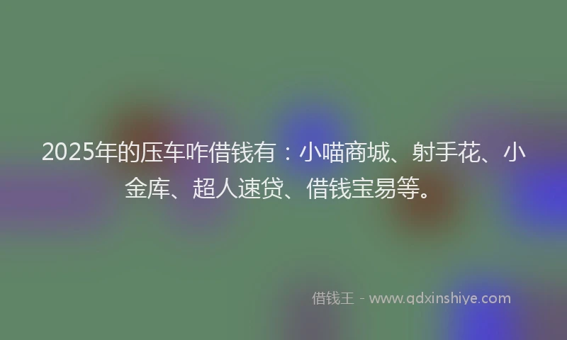 2025年的压车咋借钱有：小喵商城、射手花、小金库、超人速贷、借钱宝易等。