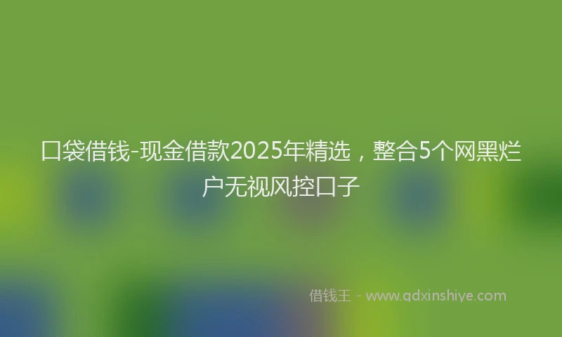 口袋借钱-现金借款2025年精选，整合5个网黑烂户无视风控口子
