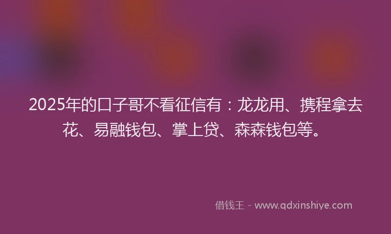 2025年的口子哥不看征信有：龙龙用、携程拿去花、易融钱包、掌上贷、森森钱包等。