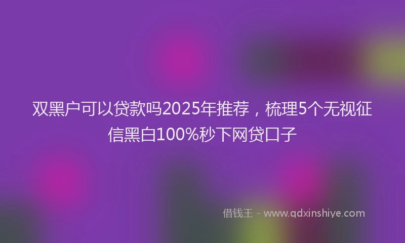 双黑户可以贷款吗2025年推荐，梳理5个无视征信黑白100%秒下网贷口子