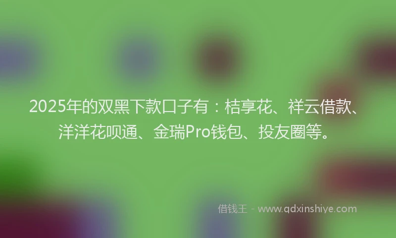 2025年的双黑下款口子有：桔享花、祥云借款、洋洋花呗通、金瑞Pro钱包、投友圈等。