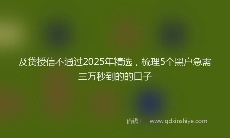 及贷授信不通过2025年精选，梳理5个黑户急需三万秒到的的口子