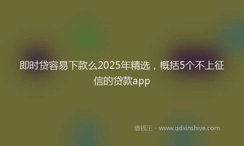 即时贷容易下款么2025年精选，概括5个不上征信的贷款app