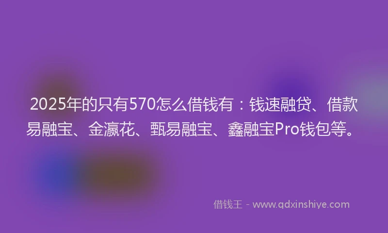 2025年的只有570怎么借钱有：钱速融贷、借款易融宝、金瀛花、甄易融宝、鑫融宝Pro钱包等。