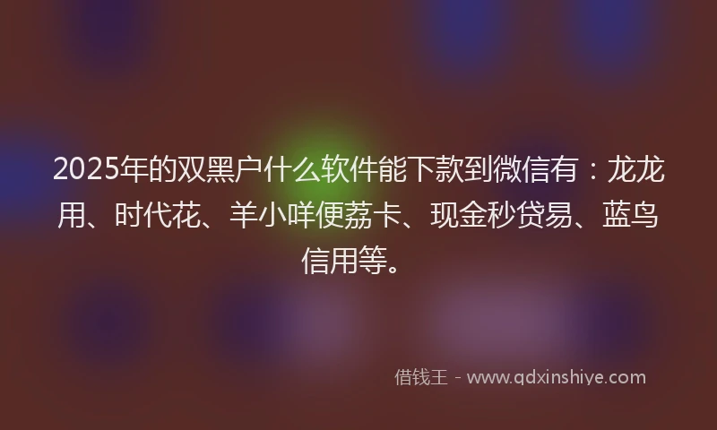 2025年的双黑户什么软件能下款到微信有：龙龙用、时代花、羊小咩便荔卡、现金秒贷易、蓝鸟信用等。