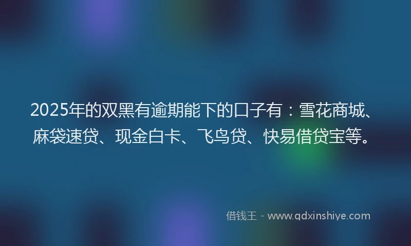 2025年的双黑有逾期能下的口子有：雪花商城、麻袋速贷、现金白卡、飞鸟贷、快易借贷宝等。
