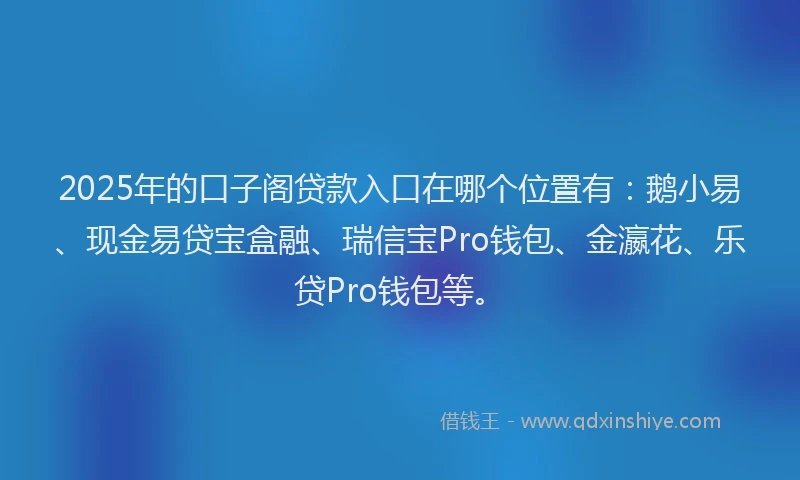 2025年的口子阁贷款入口在哪个位置有：鹅小易、现金易贷宝盒融、瑞信宝Pro钱包、金瀛花、乐贷Pro钱包等。