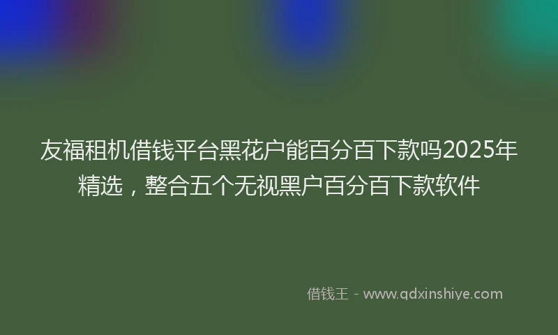友福租机借钱平台黑花户能百分百下款吗2025年精选，整合五个无视黑户百分百下款软件