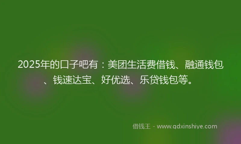 2025年的口子吧有：美团生活费借钱、融通钱包、钱速达宝、好优选、乐贷钱包等。