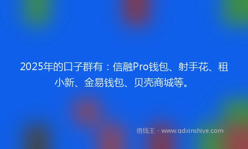 2025年的口子群有：信融Pro钱包、射手花、租小新、金易钱包、贝壳商城等。