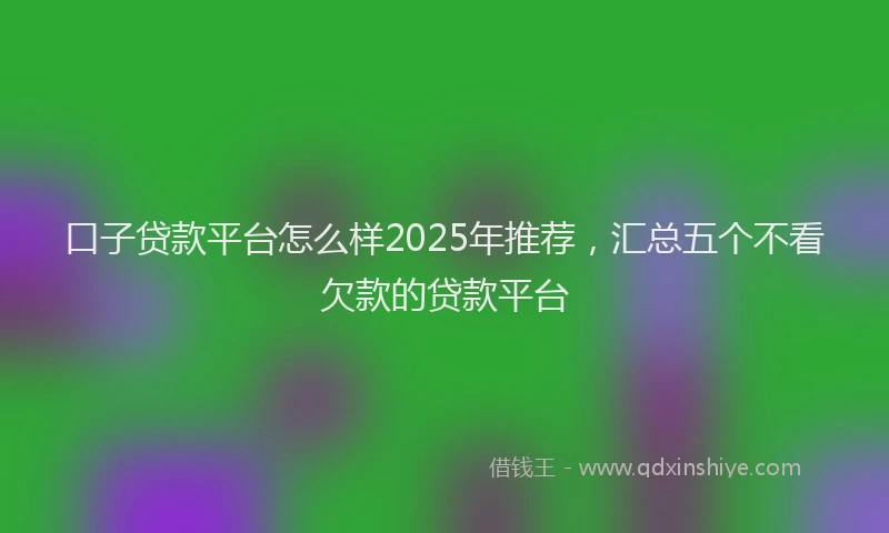 口子贷款平台怎么样2025年推荐，汇总五个不看欠款的贷款平台