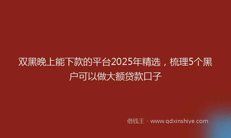双黑晚上能下款的平台2025年精选，梳理5个黑户可以做大额贷款口子