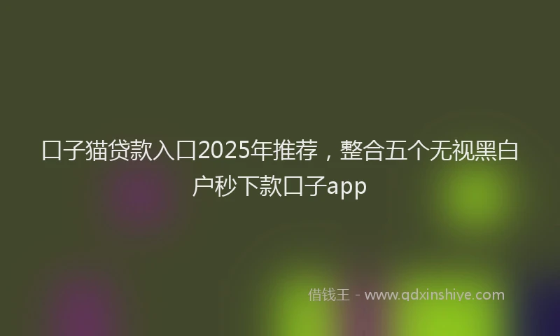 口子猫贷款入口2025年推荐，整合五个无视黑白户秒下款口子app