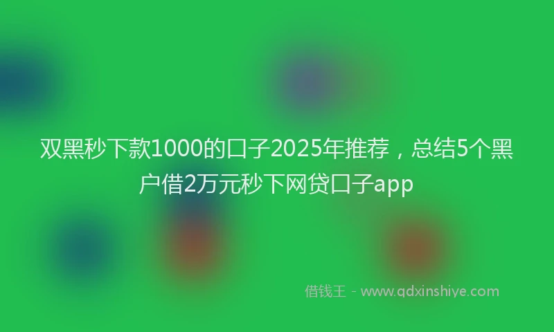 双黑秒下款1000的口子2025年推荐，总结5个黑户借2万元秒下网贷口子app