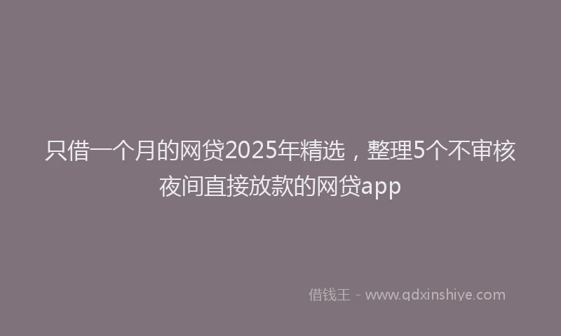 只借一个月的网贷2025年精选，整理5个不审核夜间直接放款的网贷app