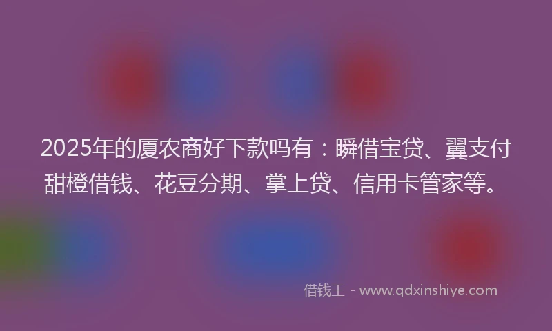 2025年的厦农商好下款吗有：瞬借宝贷、翼支付甜橙借钱、花豆分期、掌上贷、信用卡管家等。