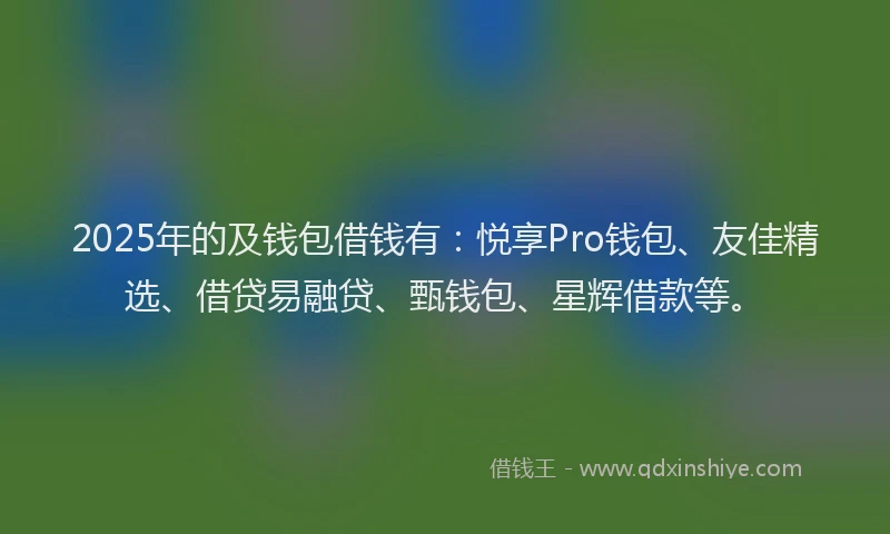 2025年的及钱包借钱有：悦享Pro钱包、友佳精选、借贷易融贷、甄钱包、星辉借款等。