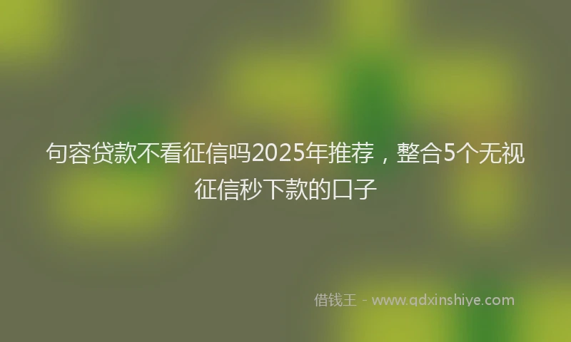 句容贷款不看征信吗2025年推荐，整合5个无视征信秒下款的口子