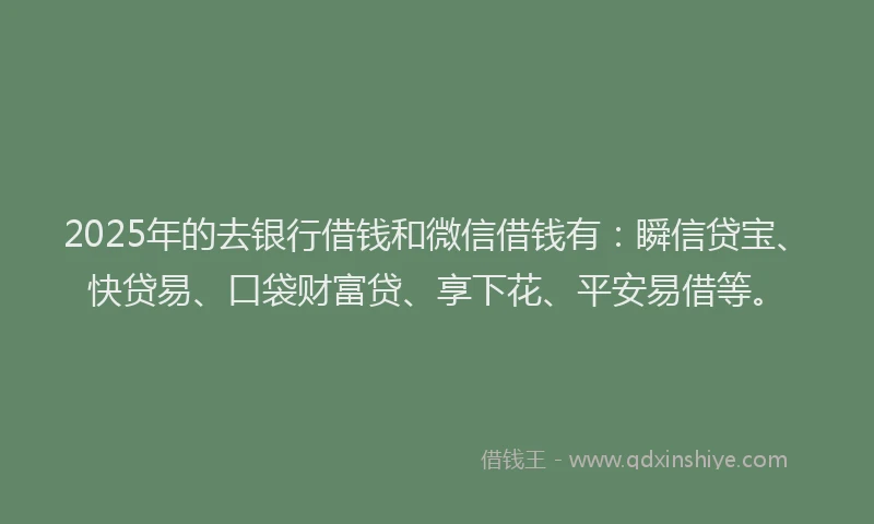 2025年的去银行借钱和微信借钱有：瞬信贷宝、快贷易、口袋财富贷、享下花、平安易借等。