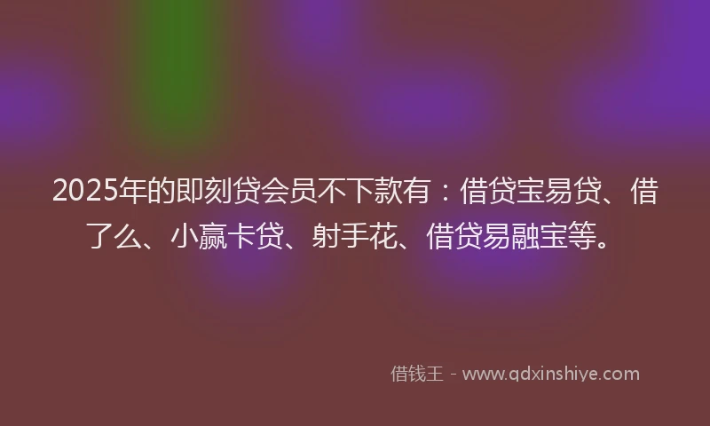 2025年的即刻贷会员不下款有：借贷宝易贷、借了么、小赢卡贷、射手花、借贷易融宝等。