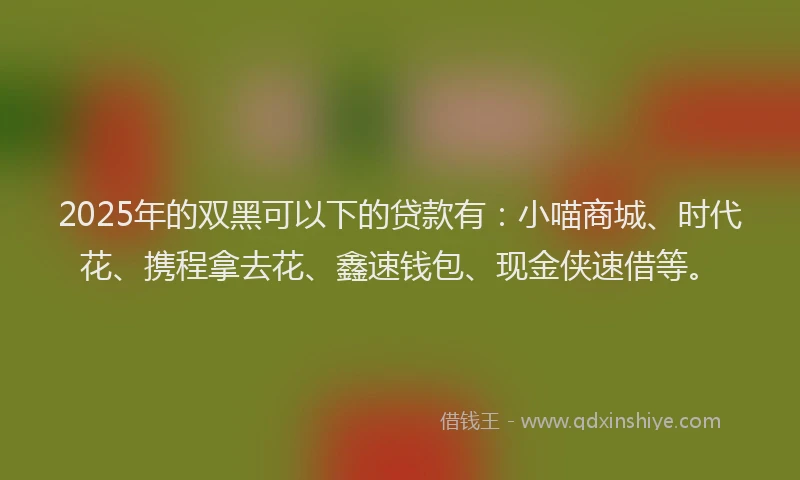 2025年的双黑可以下的贷款有：小喵商城、时代花、携程拿去花、鑫速钱包、现金侠速借等。