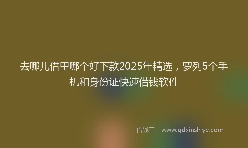 去哪儿借里哪个好下款2025年精选，罗列5个手机和身份证快速借钱软件