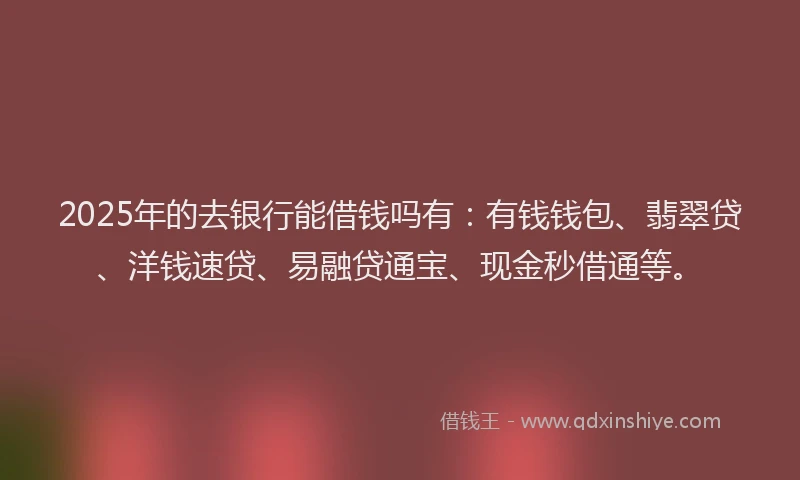 2025年的去银行能借钱吗有：有钱钱包、翡翠贷、洋钱速贷、易融贷通宝、现金秒借通等。