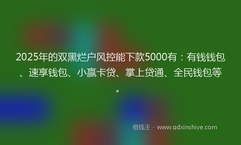 2025年的双黑烂户风控能下款5000有：有钱钱包、速享钱包、小赢卡贷、掌上贷通、全民钱包等。