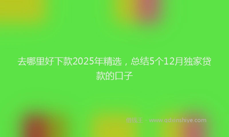 去哪里好下款2025年精选，总结5个12月独家贷款的口子