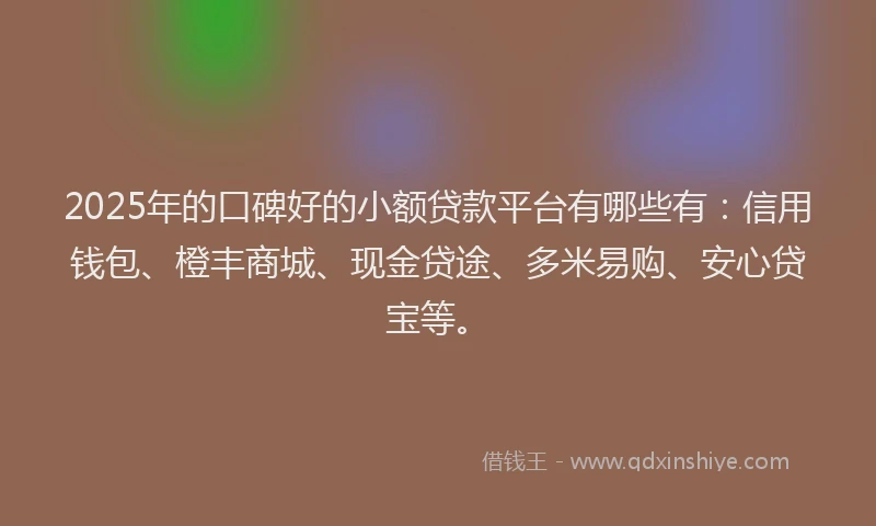 2025年的口碑好的小额贷款平台有哪些有：信用钱包、橙丰商城、现金贷途、多米易购、安心贷宝等。
