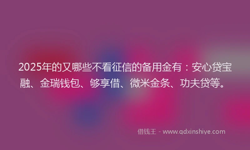 2025年的又哪些不看征信的备用金有：安心贷宝融、金瑞钱包、够享借、微米金条、功夫贷等。